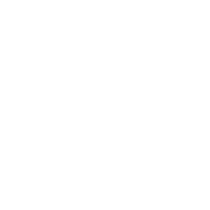 글로벌 시장 진출